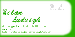 milan ludvigh business card